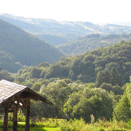Domaine Du Randier Villa Ferrières-sur-Sichon Kültér fotó