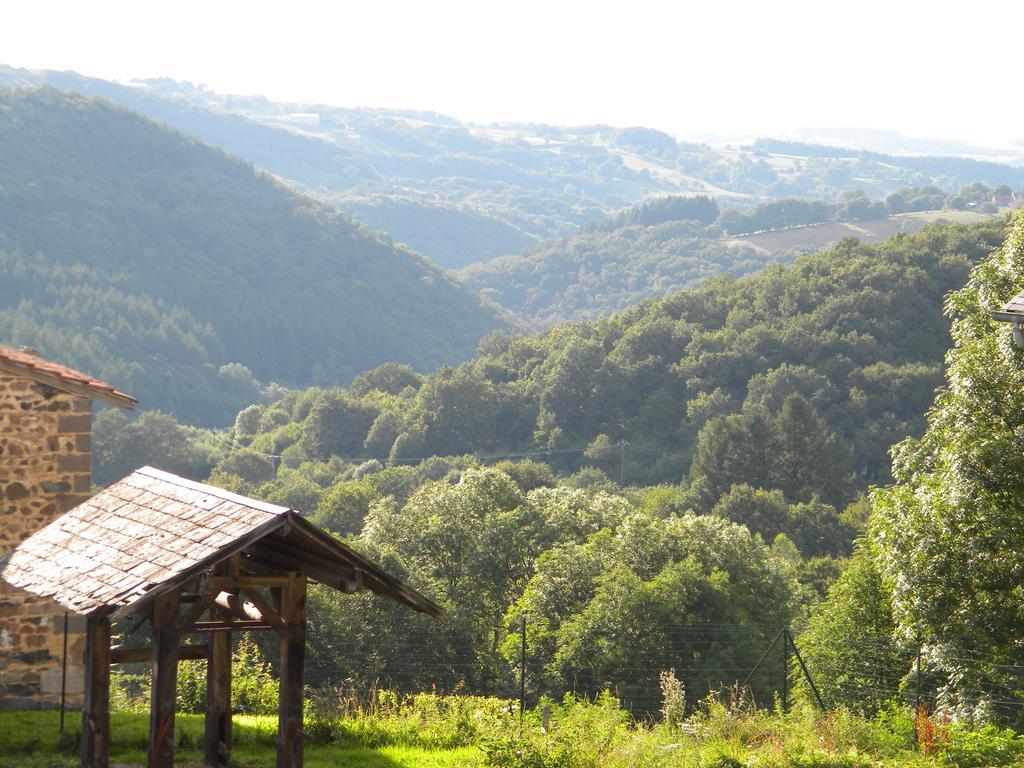 Domaine Du Randier Villa Ferrières-sur-Sichon Kültér fotó